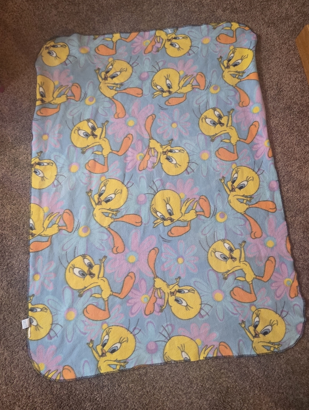 Vintage 1999 Tweety Bird Blue Floral Plush Throw Blanket